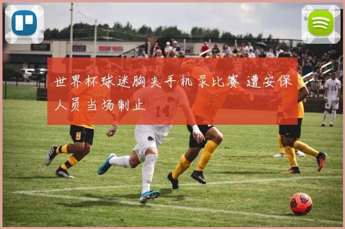 世界杯球迷胸夹手机录比赛 遭安保人员当场制止