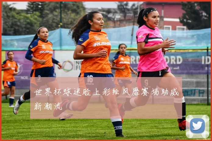 世界杯球迷脸上彩绘风靡赛场助威新潮流