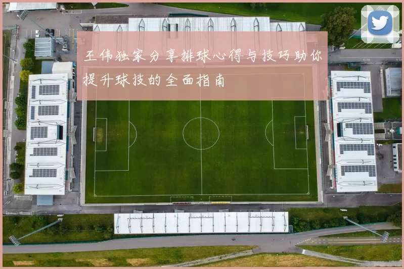王伟独家分享排球心得与技巧助你提升球技的全面指南