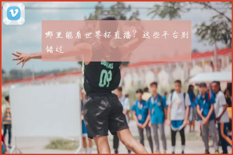 哪里能看世界杯直播?这些平台别错过