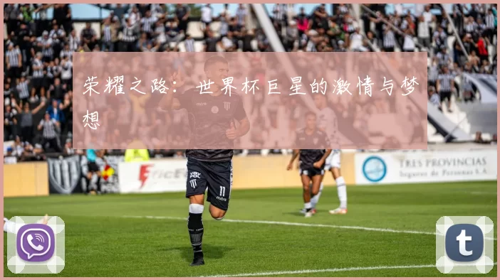 荣耀之路：世界杯巨星的激情与梦想