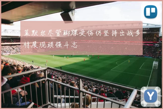 莱默尔尽管脚踝受伤仍坚持出战多特展现顽强斗志