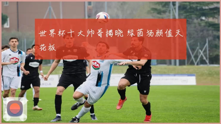 世界杯十大帅哥揭晓 绿茵场颜值天花板