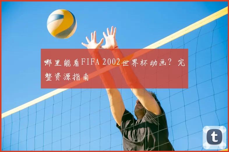 哪里能看FIFA 2002世界杯动画?完整资源指南
