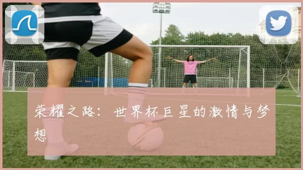 荣耀之路:世界杯巨星的激情与梦想