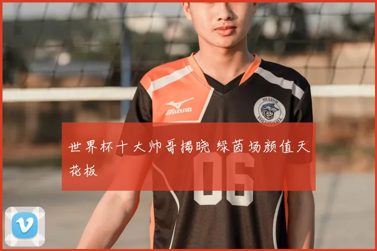 世界杯十大帅哥揭晓 绿茵场颜值天花板