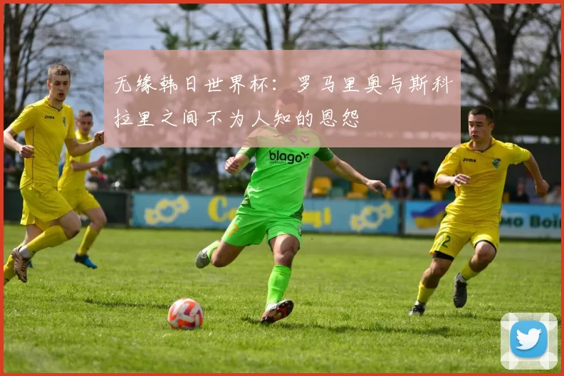 无缘韩日世界杯:罗马里奥与斯科拉里之间不为人知的恩怨