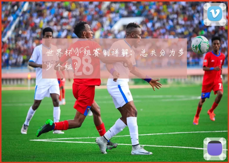 世界杯小组赛制详解:总共分为多少个组?