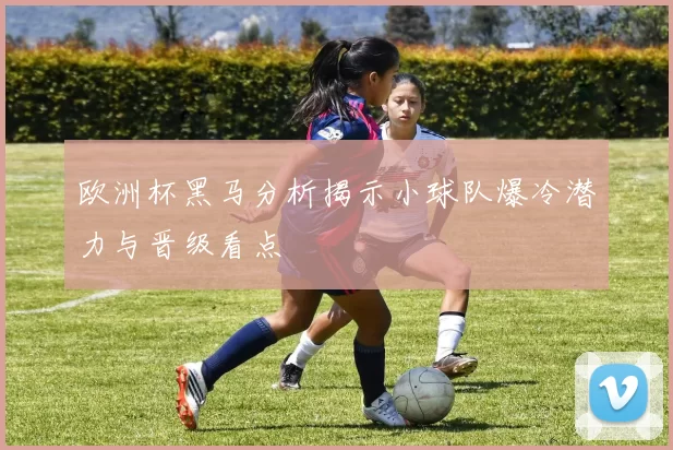 欧洲杯黑马分析揭示小球队爆冷潜力与晋级看点