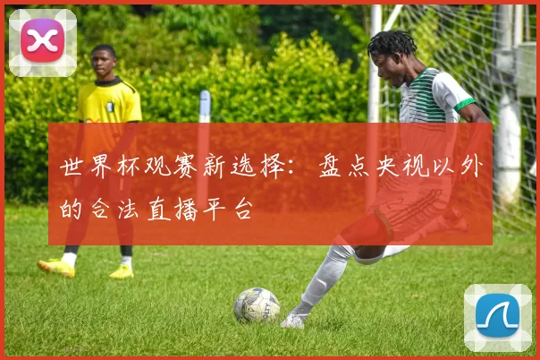 世界杯观赛新选择:盘点央视以外的合法直播平台