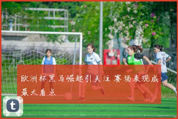 欧洲杯黑马崛起引关注 赛场表现成最大看点
