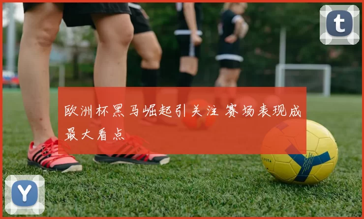 欧洲杯黑马崛起引关注 赛场表现成最大看点