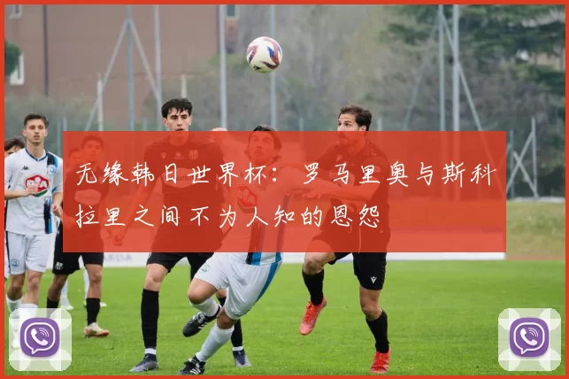 无缘韩日世界杯:罗马里奥与斯科拉里之间不为人知的恩怨