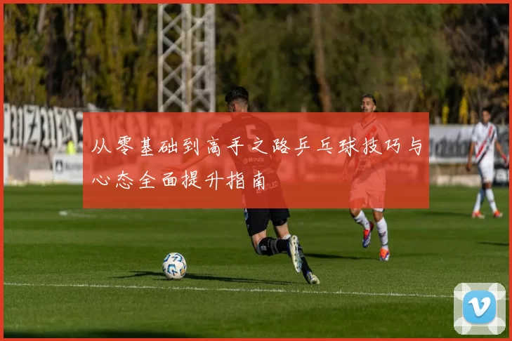 从零基础到高手之路乒乓球技巧与心态全面提升指南