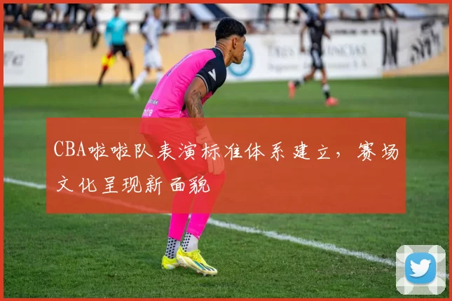 CBA啦啦队表演标准体系建立，赛场文化呈现新面貌