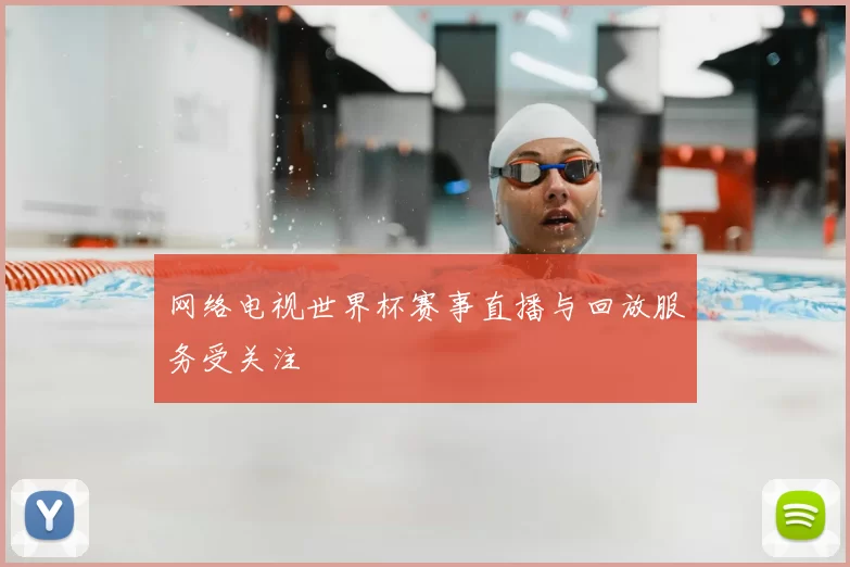 网络电视世界杯赛事直播与回放服务受关注