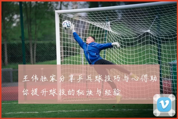 王伟独家分享乒乓球技巧与心得助你提升球技的秘诀与经验