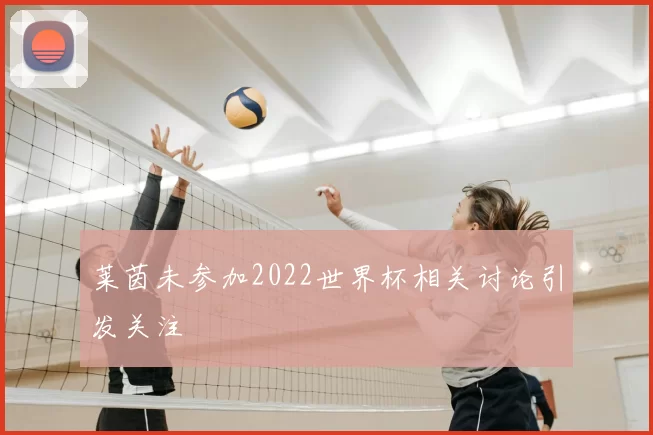 莱茵未参加2022世界杯相关讨论引发关注