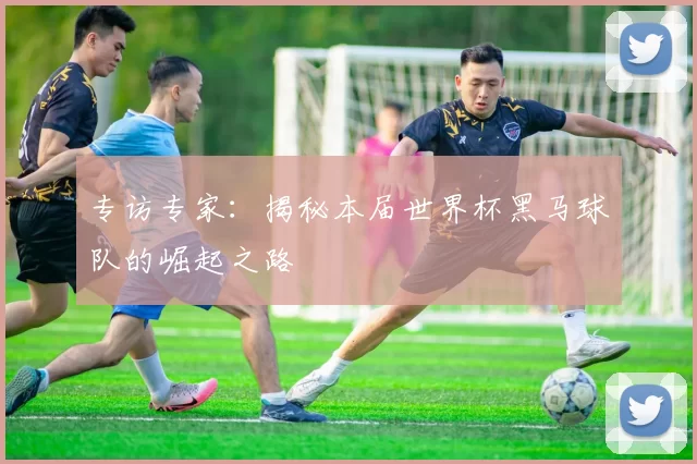 专访专家：揭秘本届世界杯黑马球队的崛起之路