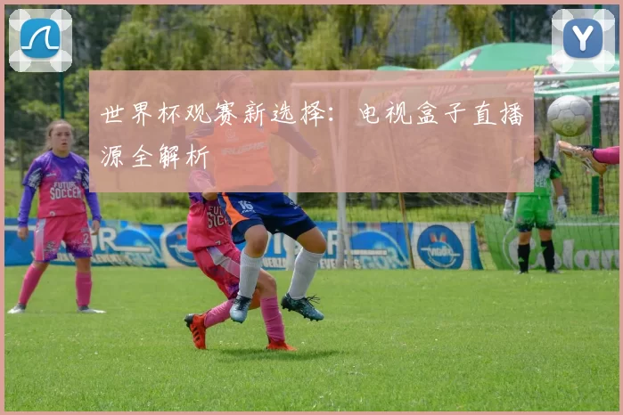 世界杯观赛新选择：电视盒子直播源全解析