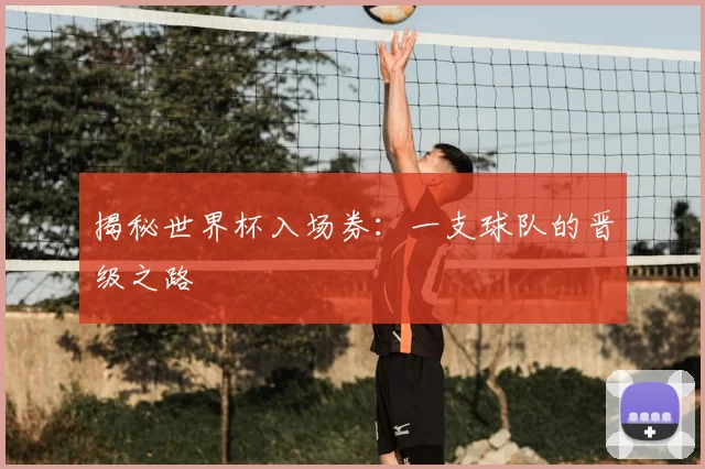 揭秘世界杯入场券:一支球队的晋级之路